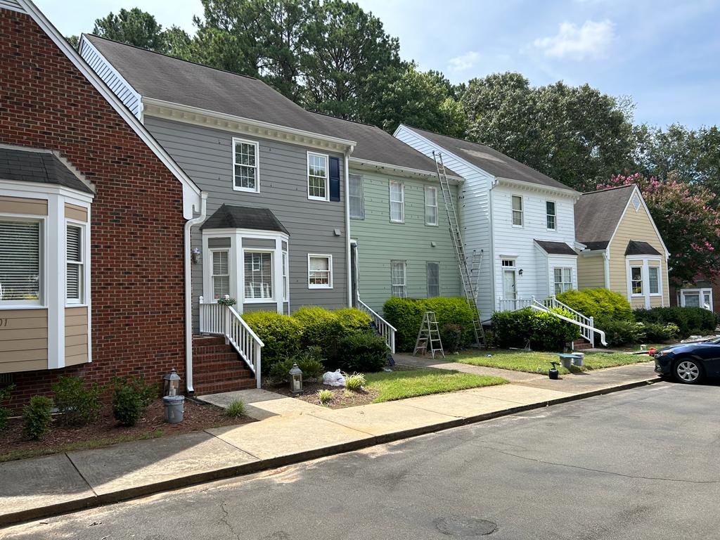 Bluespringpaintingllc (18)