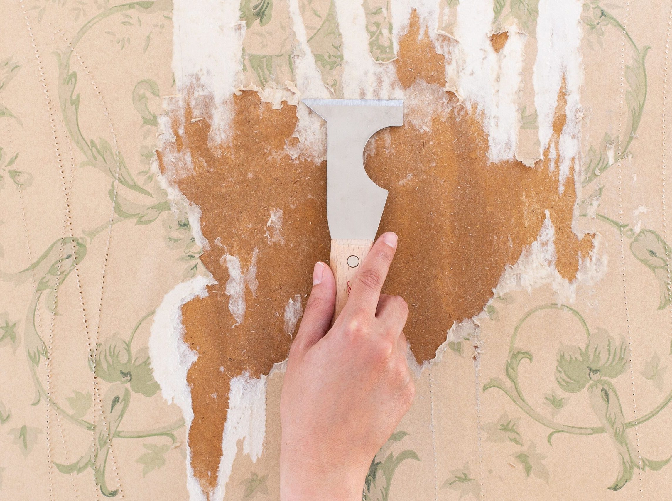 Blue Spring Painting LLC (1)