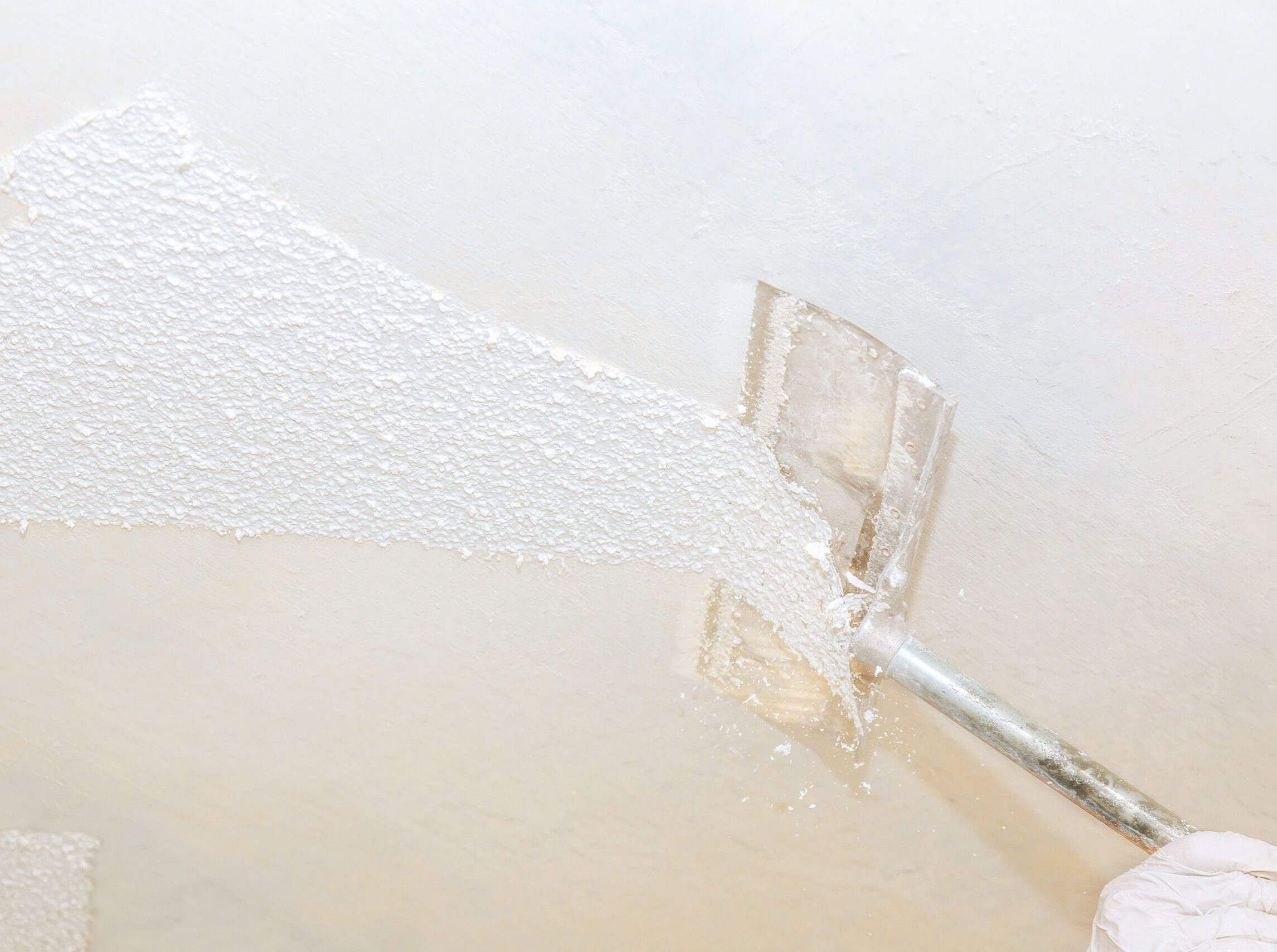 Blue Spring Painting LLC (3)